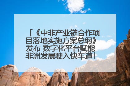 《中非产业链合作项目落地实施方案总纲》发布 数字化平台赋能非洲发展驶入快车道