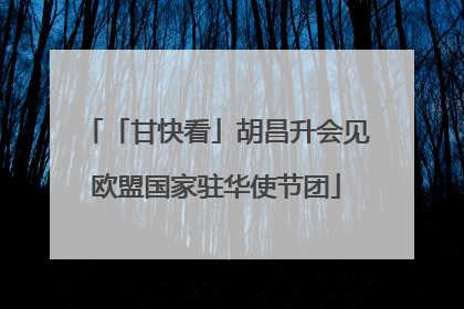 「甘快看」胡昌升会见欧盟国家驻华使节团