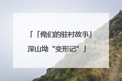 「俺们的驻村故事」深山坳“变形记”