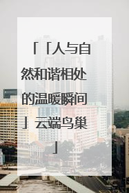 「人与自然和谐相处的温暖瞬间」云端鸟巢
