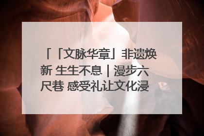 「文脉华章」非遗焕新 生生不息｜漫步六尺巷 感受礼让文化浸润的“巷”往生活