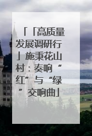 「高质量发展调研行」施秉花山村：奏响“红”与“绿”交响曲