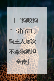 “狗咬狗”引官司，狗主人屡次不牵狗绳担全责