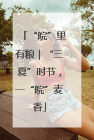 “皖”里有粮｜“三夏”时节，一“皖”麦香