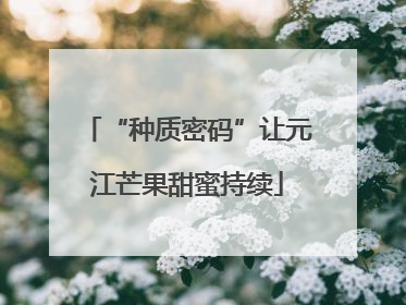 “种质密码”让元江芒果甜蜜持续