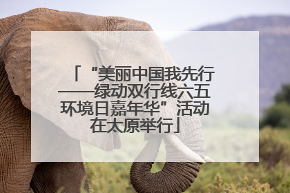 “美丽中国我先行——绿动双行线六五环境日嘉年华”活动在太原举行
