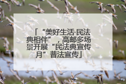 “美好生活·民法典相伴”，高邮多场景开展“民法典宣传月”普法宣传