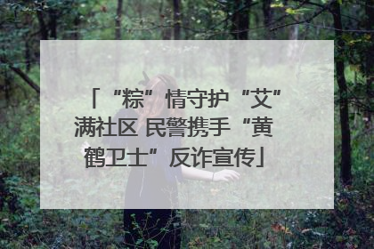 “粽”情守护“艾”满社区 民警携手“黄鹤卫士”反诈宣传