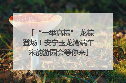 “一举高粽” 龙粽登场！安宁玉龙湾端午宋韵游园会等你来