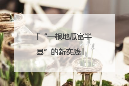 “一根地瓜富半县”的新实践
