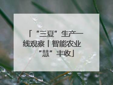 “三夏”生产一线观察丨智能农业“慧”丰收