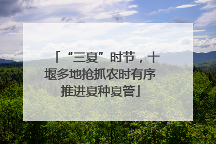 “三夏”时节，十堰多地抢抓农时有序推进夏种夏管