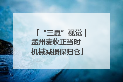“三夏”视觉｜孟州麦收正当时 机械减损保归仓