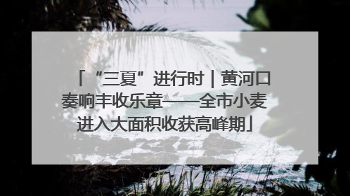 “三夏”进行时｜黄河口奏响丰收乐章——全市小麦进入大面积收获高峰期