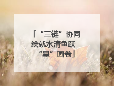 “三链”协同 绘就水清鱼跃“星”画卷