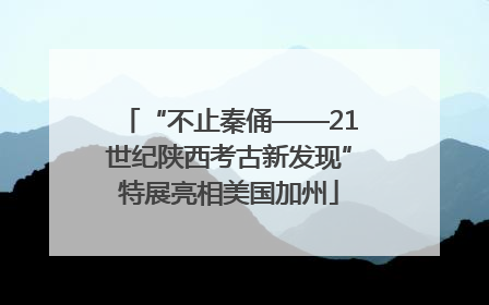 “不止秦俑——21世纪陕西考古新发现”特展亮相美国加州