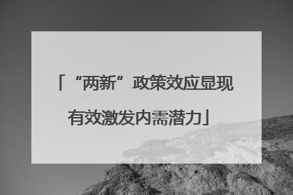 “两新”政策效应显现 有效激发内需潜力