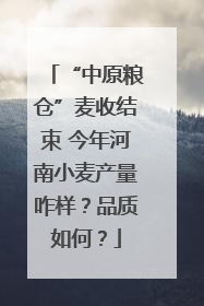 “中原粮仓”麦收结束 今年河南小麦产量咋样？品质如何？