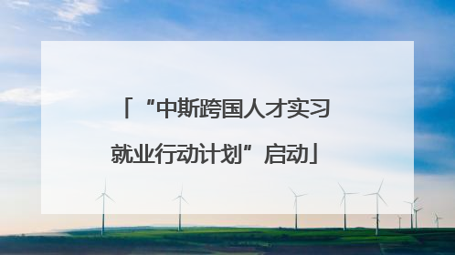 “中斯跨国人才实习就业行动计划”启动