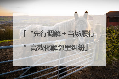 “先行调解＋当场履行”高效化解邻里纠纷