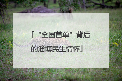 “全国首单”背后的淄博民生情怀