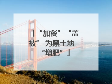 “加餐”“盖被” 为黑土地“增肥”