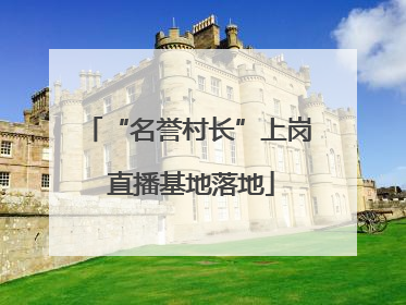 “名誉村长”上岗 直播基地落地