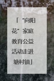 “向阳花”家庭教育公益活动走进塘村镇