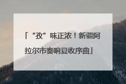 “孜”味正浓！新疆阿拉尔市奏响夏收序曲
