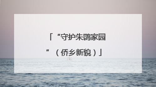 “守护朱鹮家园”（侨乡新貌）