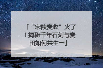 “宋陵麦收”火了！揭秘千年石刻与麦田如何共生→