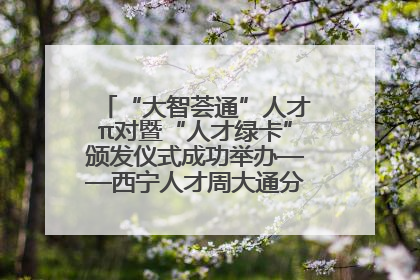 “大智荟通”人才π对暨“人才绿卡”颁发仪式成功举办——西宁人才周大通分会场亮点纷呈