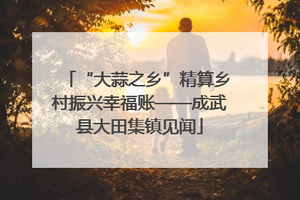 “大蒜之乡”精算乡村振兴幸福账——成武县大田集镇见闻
