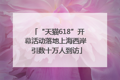 “天猫618”开幕活动落地上海西岸 引数十万人到访