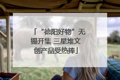 “德阳好物”无锡开集 三星堆文创产品受热捧