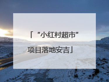 “小红村超市”项目落地安吉