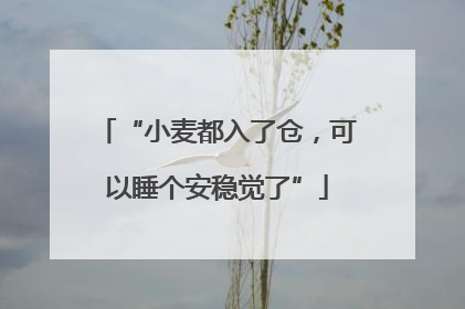 “小麦都入了仓，可以睡个安稳觉了”