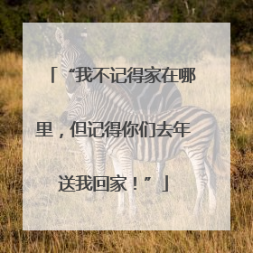 “我不记得家在哪里，但记得你们去年送我回家！”