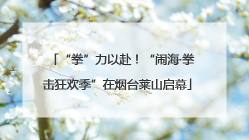 “拳”力以赴！“闹海·拳击狂欢季”在烟台莱山启幕
