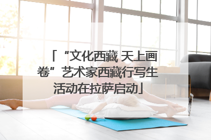 “文化西藏 天上画卷”艺术家西藏行写生活动在拉萨启动