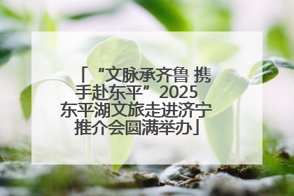 “文脉承齐鲁 携手赴东平”2025东平湖文旅走进济宁推介会圆满举办