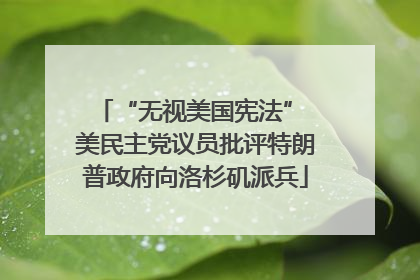 “无视美国宪法” 美民主党议员批评特朗普政府向洛杉矶派兵