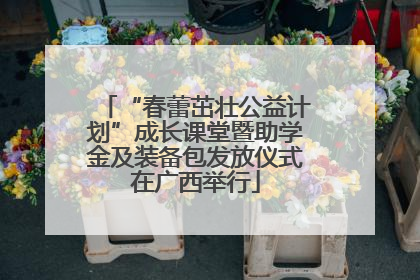 “春蕾茁壮公益计划”成长课堂暨助学金及装备包发放仪式在广西举行