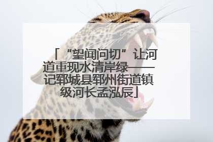 “望闻问切”让河道重现水清岸绿——记郓城县郓州街道镇级河长孟泓辰