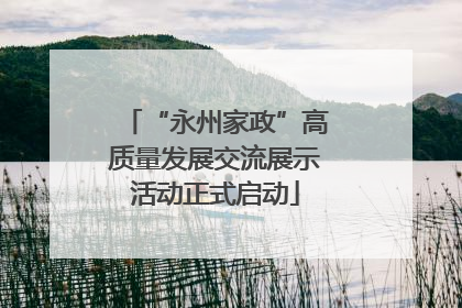 “永州家政”高质量发展交流展示活动正式启动