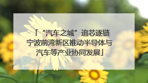 “汽车之城”追芯逐链 宁波前湾新区推动半导体与汽车等产业协同发展