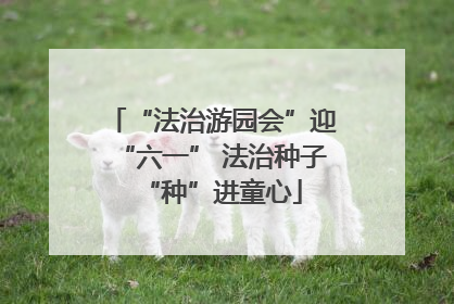 “法治游园会”迎“六一” 法治种子“种”进童心