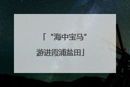 “海中宝马”游进霞浦盐田