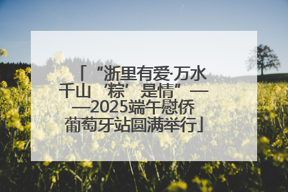 “浙里有爱·万水千山‘粽’是情”——2025端午慰侨葡萄牙站圆满举行