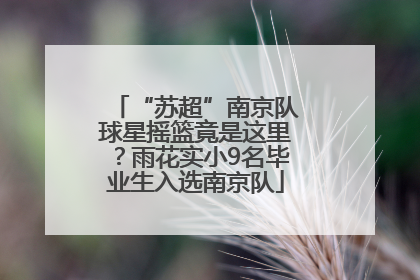 “苏超”南京队球星摇篮竟是这里？雨花实小9名毕业生入选南京队